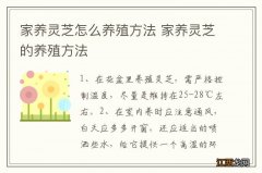 家养灵芝怎么养殖方法 家养灵芝的养殖方法