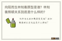 向阳而生林知衡原型是谁？林知衡熊顿关系到底是什么样的？