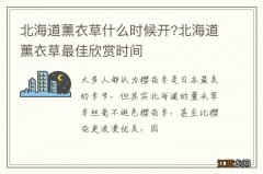 北海道薰衣草什么时候开?北海道薰衣草最佳欣赏时间