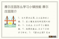 摩尔庄园怎么学习小镇技能 摩尔庄园简介