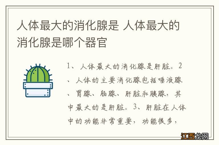 人体最大的消化腺是 人体最大的消化腺是哪个器官