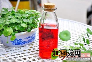 什么是甜果酒？怎么去挑选果酒？