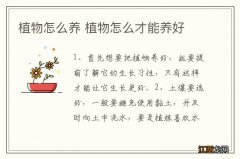 植物怎么养 植物怎么才能养好