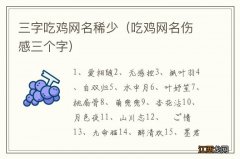 吃鸡网名伤感三个字 三字吃鸡网名稀少