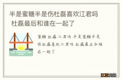 半是蜜糖半是伤杜磊喜欢江君吗 杜磊最后和谁在一起了