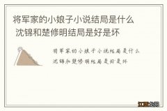 将军家的小娘子小说结局是什么 沈锦和楚修明结局是好是坏