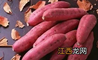 番薯干如何保存不发霉