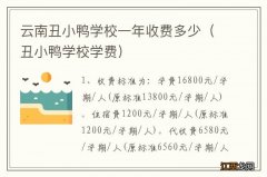 丑小鸭学校学费 云南丑小鸭学校一年收费多少