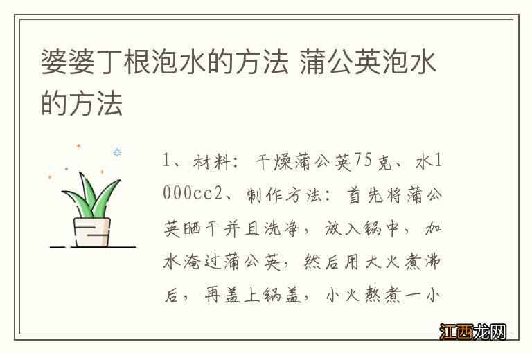 婆婆丁根泡水的方法 蒲公英泡水的方法