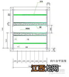 标准牛舍的建设尺寸