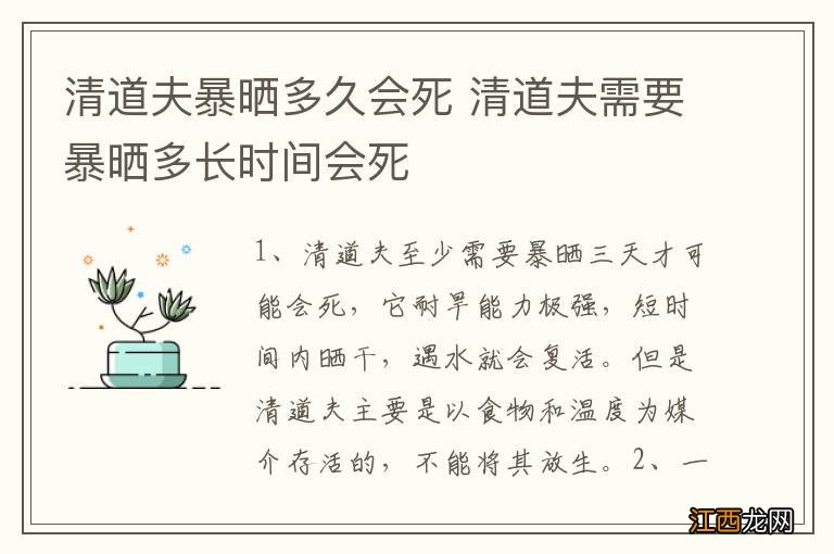 清道夫暴晒多久会死 清道夫需要暴晒多长时间会死