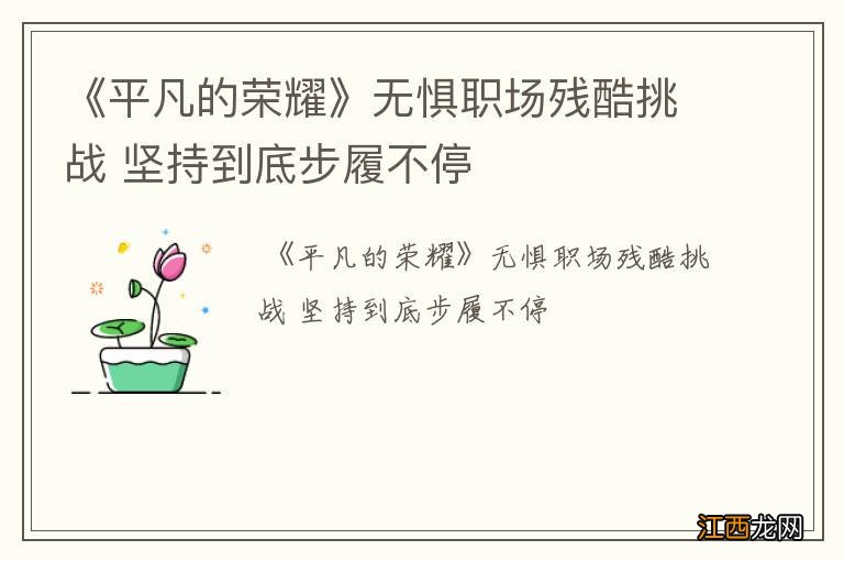 《平凡的荣耀》无惧职场残酷挑战 坚持到底步履不停