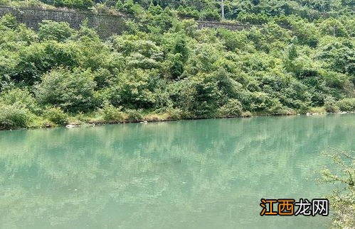 一亩池塘最佳养鱼密度