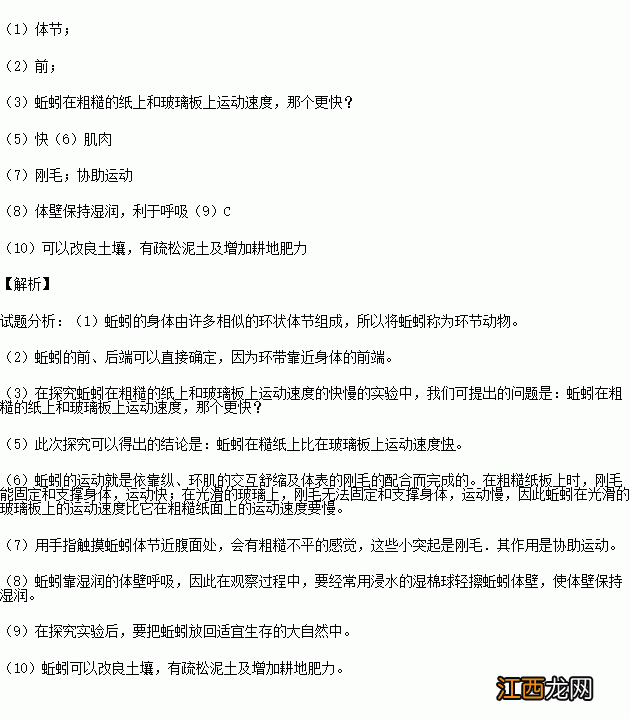 蚯蚓与人类的关系