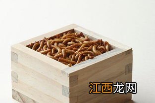 黄粉虫虫卵怎么收集