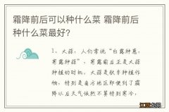 霜降前后可以种什么菜 霜降前后种什么菜最好?