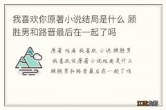 我喜欢你原著小说结局是什么 顾胜男和路晋最后在一起了吗