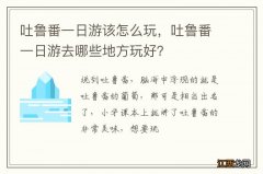 吐鲁番一日游该怎么玩，吐鲁番一日游去哪些地方玩好？