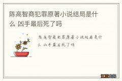 陈高智商犯罪原著小说结局是什么 凶手最后死了吗