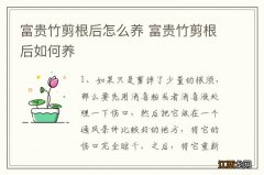 富贵竹剪根后怎么养 富贵竹剪根后如何养