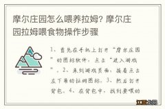 摩尔庄园怎么喂养拉姆? 摩尔庄园拉姆喂食物操作步骤