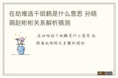 在劫难逃千纸鹤是什么意思 孙晓萌赵彬彬关系解析猜测