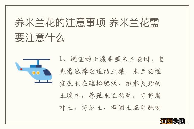 养米兰花的注意事项 养米兰花需要注意什么