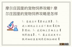 摩尔庄园里的宠物饲养攻略? 摩尔庄园里的宠物饲养攻略是怎样的