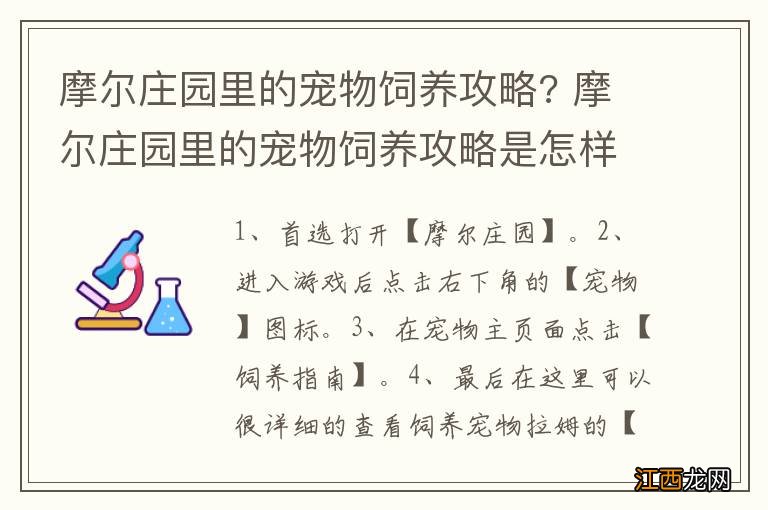 摩尔庄园里的宠物饲养攻略? 摩尔庄园里的宠物饲养攻略是怎样的