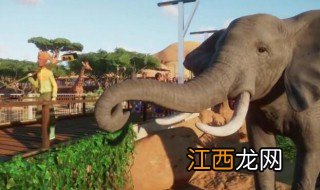 动物园之星如何养猪? 动物园之星养猪的方法