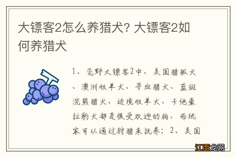 大镖客2怎么养猎犬? 大镖客2如何养猎犬