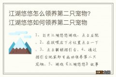 江湖悠悠怎么领养第二只宠物? 江湖悠悠如何领养第二只宠物