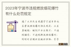 2023年宁波市违规燃放烟花爆竹有什么处罚规定