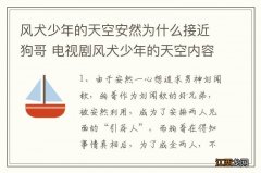 风犬少年的天空安然为什么接近狗哥 电视剧风犬少年的天空内容介绍