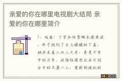 亲爱的你在哪里电视剧大结局 亲爱的你在哪里简介