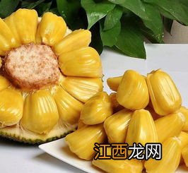 菠萝蜜一头烂了怎么办