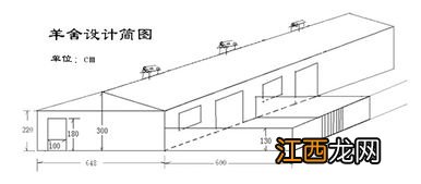 10头牛建造多大青储池