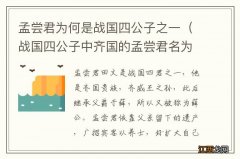 战国四公子中齐国的孟尝君名为 孟尝君为何是战国四公子之一