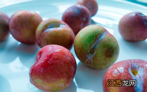 南方的李子什么时候成熟