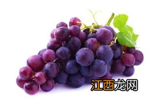 调色葡萄的主要品种