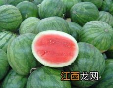 无籽西瓜品种有哪些