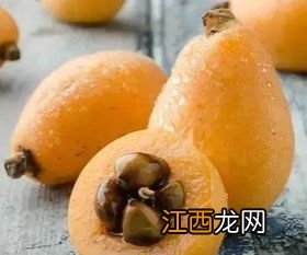 枇杷可以放冰箱里面保鲜吗