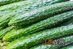 黄瓜是什么季节的蔬菜