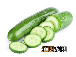 黄瓜是什么季节的蔬菜