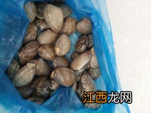 海鲜怎么洗