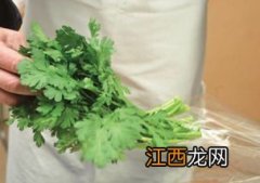 能长久保存的蔬菜