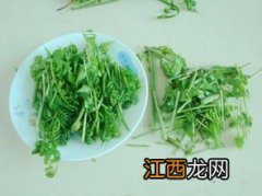 鲜蕨菜焯水多长时间