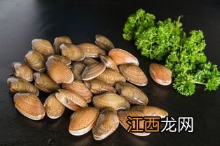 花甲泡一晚上会死吗