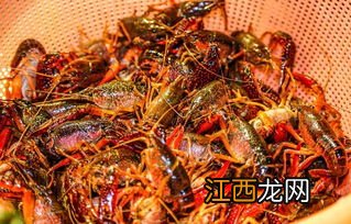 鲜活小龙虾多少钱一斤