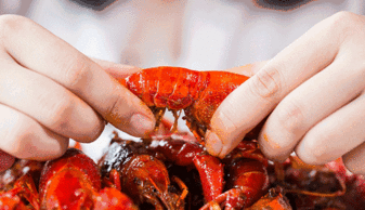 鲜活小龙虾价格